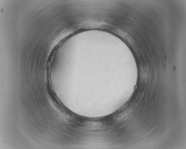 X0000062890582200602031809