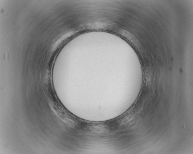 X0000062890583200602031809