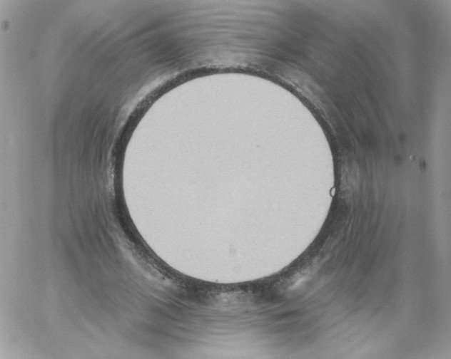 X0000062890584200602031809