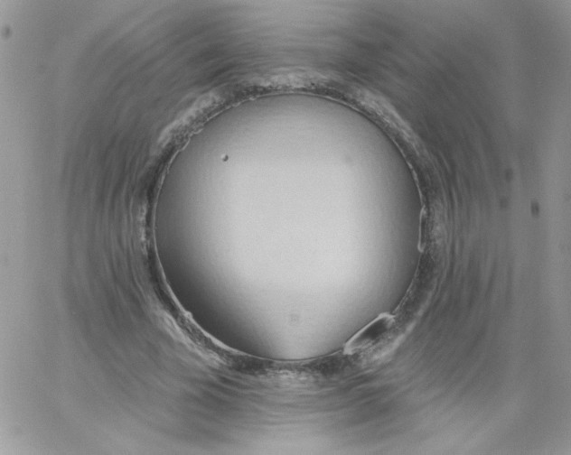 X0000062890585200602031809