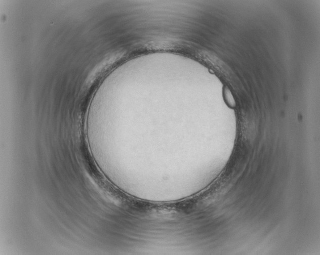 X0000062890586200602031809