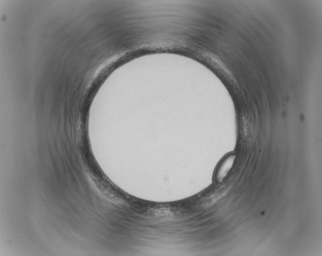 X0000062890588200602031809