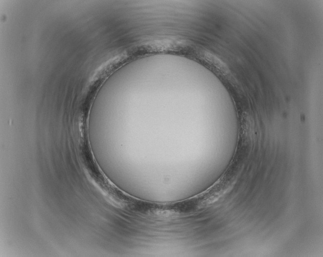 X0000062890590200602031809