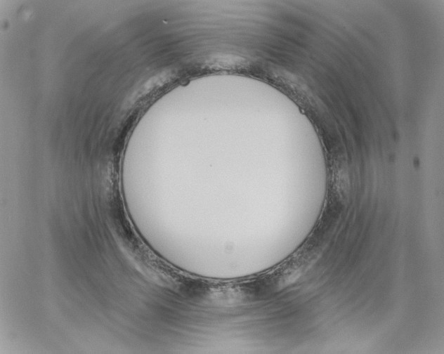 X0000062890591200602031809