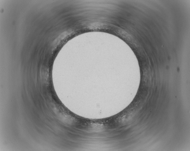 X0000062890592200602031809