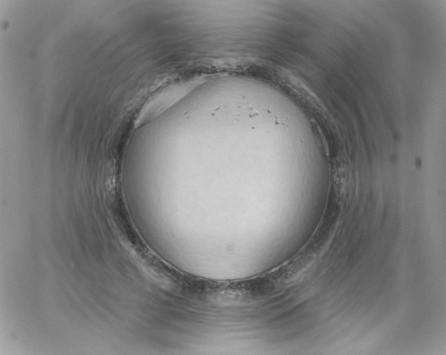 X0000062890593200602031809