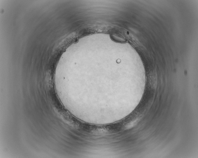 X0000062890594200602031809