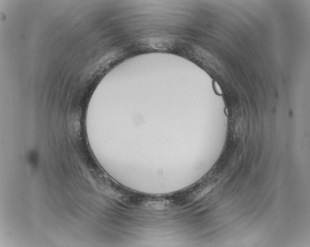 X0000062890595200602031809