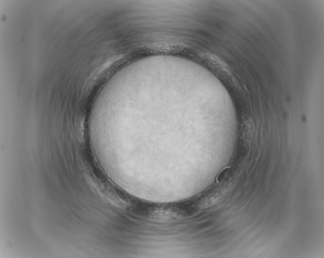 X0000062890596200602031809