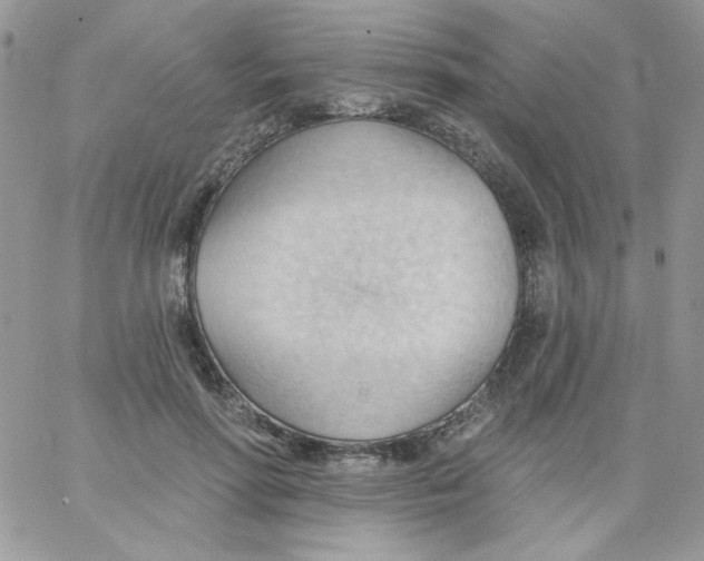 X0000062890598200602031809