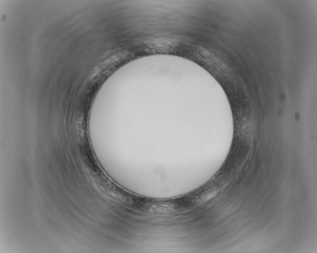 X0000062890599200602031809