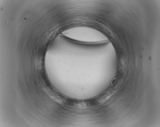 X0000062890600200602031809