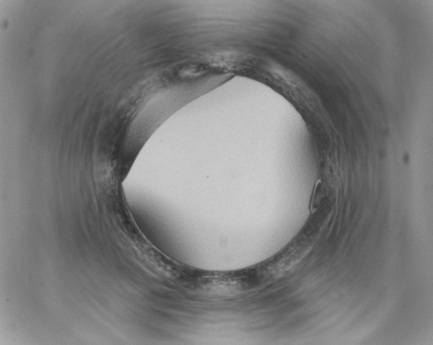 X0000062890601200602031809