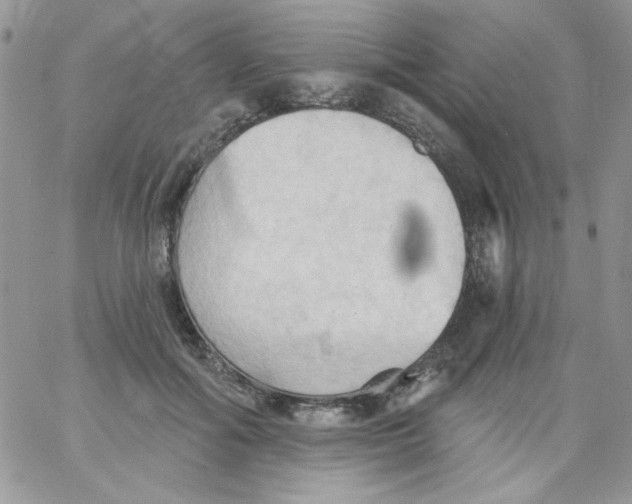 X0000062890602200602031809