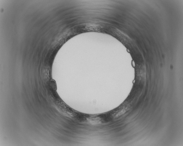 X0000062890603200602031809