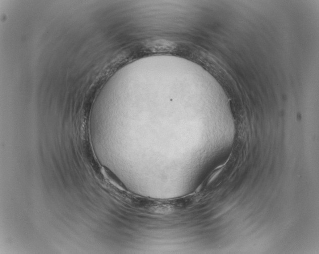 X0000062890604200602031809