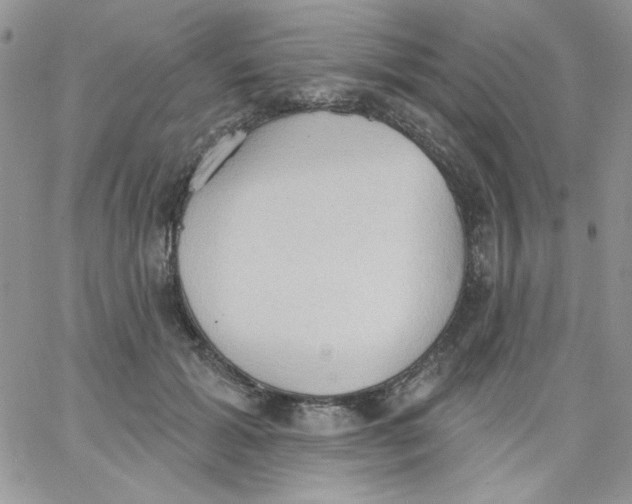 X0000062890605200602031809