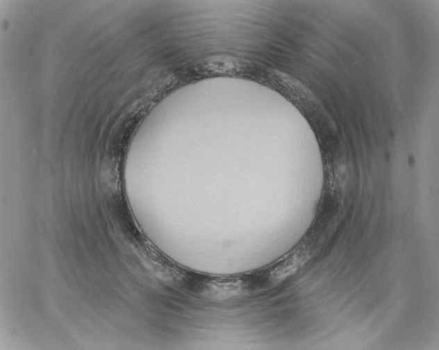 X0000062890606200602031809