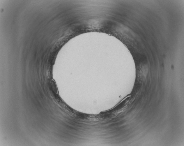 X0000062890608200602031809