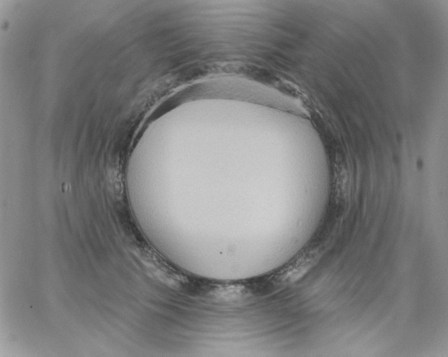 X0000062890609200602031809