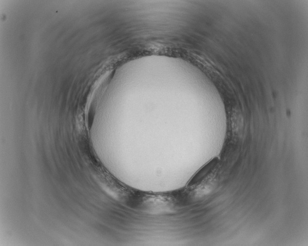 X0000062890611200602031809