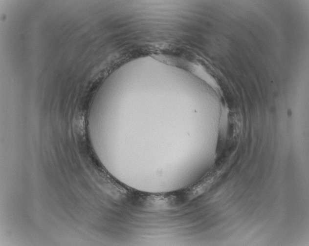 X0000062890613200602031809