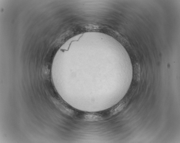 X0000062890614200602031809