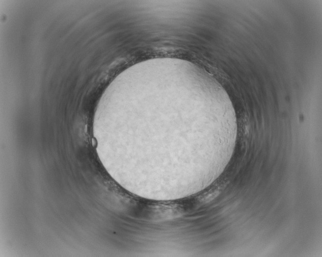 X0000062890615200602031809