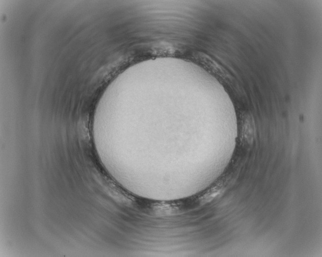 X0000062890616200602031809