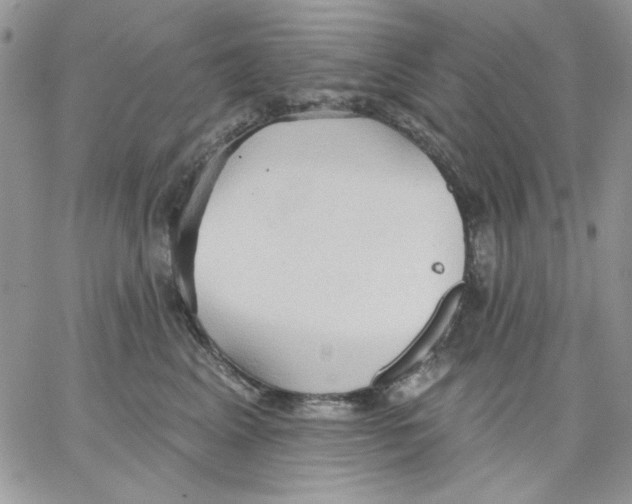 X0000062890617200602031809