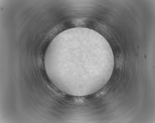 X0000062890618200602031809