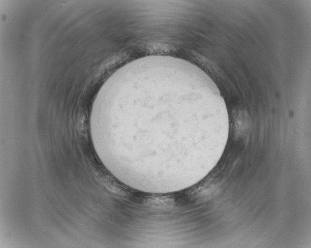 X0000062890619200602031809