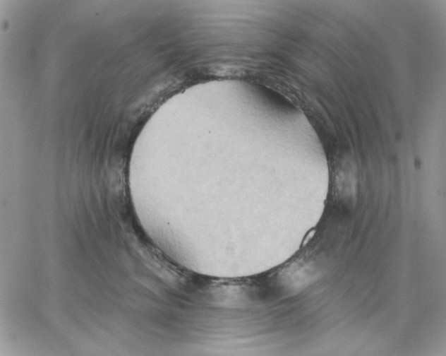 X0000062890620200602031809