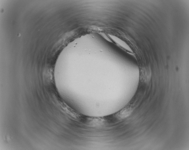 X0000062890621200602031809