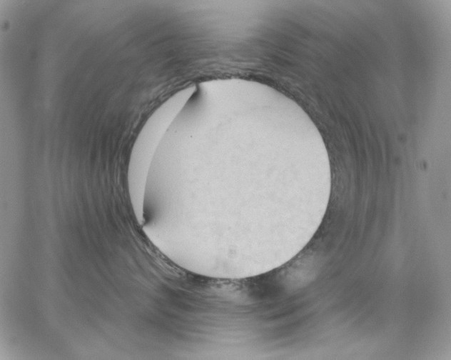 X0000062890624200602031808