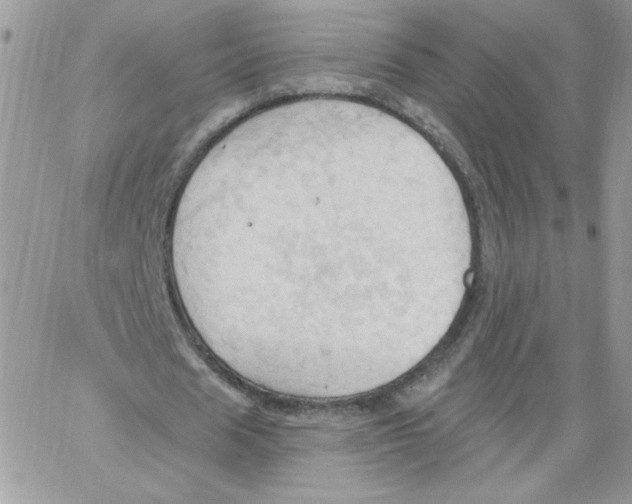 X0000062890625200602031808