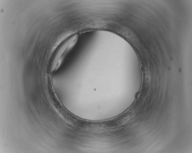 X0000062890626200602031808