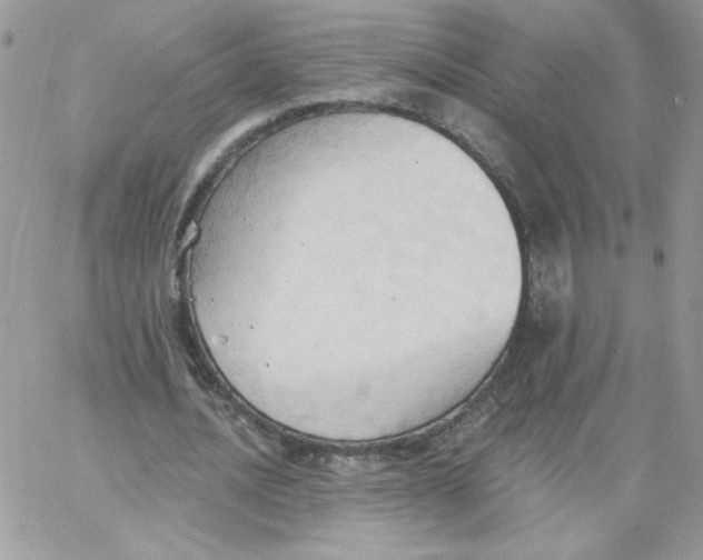 X0000062890628200602031808