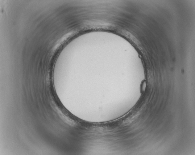 X0000062890629200602031808