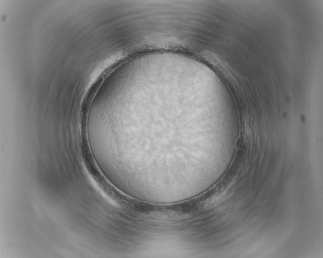 X0000062890630200602031808