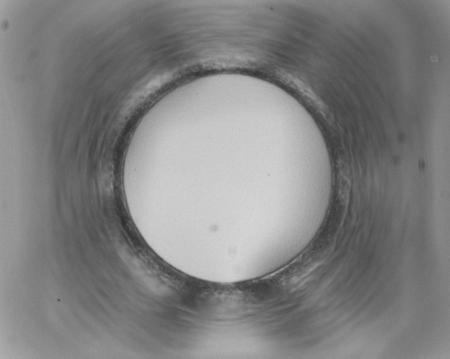 X0000062890631200602031808