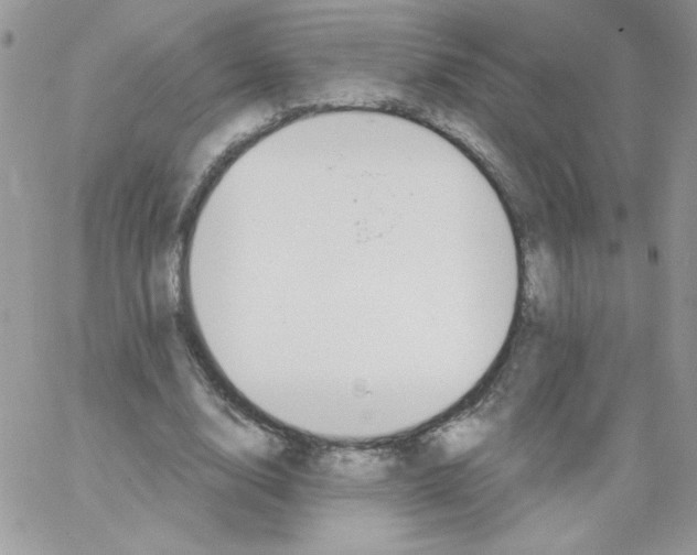 X0000062890632200602031808