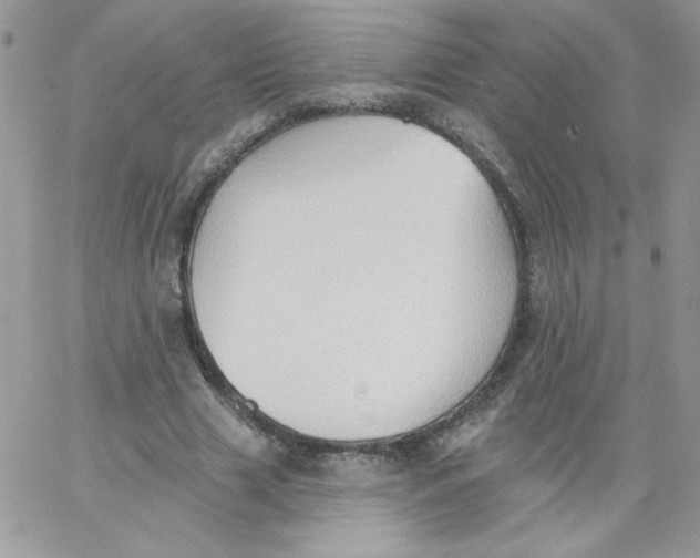 X0000062890633200602031808