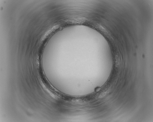 X0000062890634200602031808