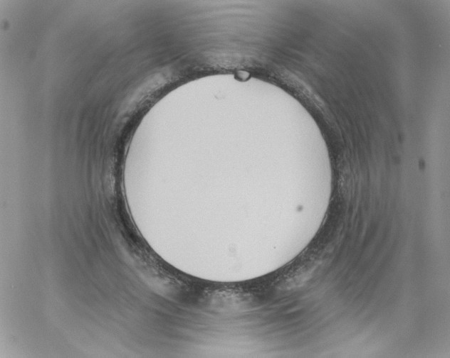 X0000062890635200602031808