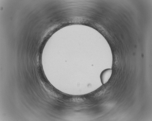 X0000062890636200602031808