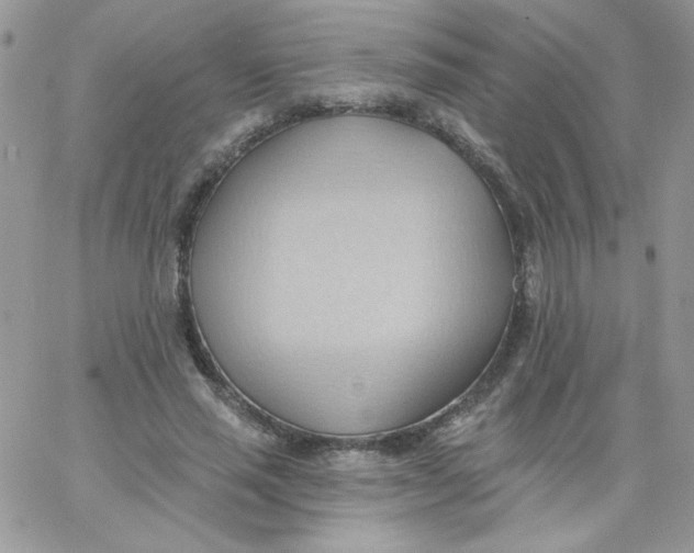 X0000062890637200602031808