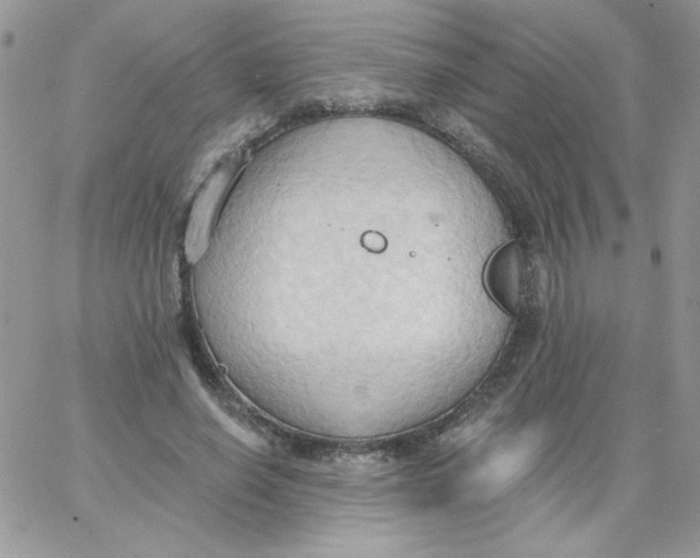 X0000062890638200602031808