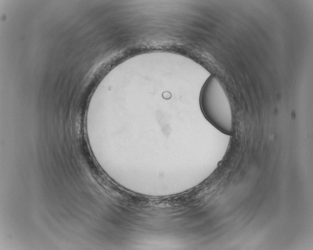 X0000062890640200602031808