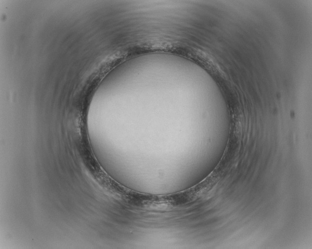 X0000062890643200602031808